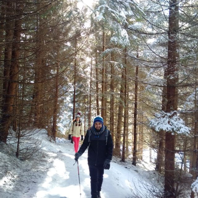 from-brasov-piatra-craiului-national-park-private-day-tour