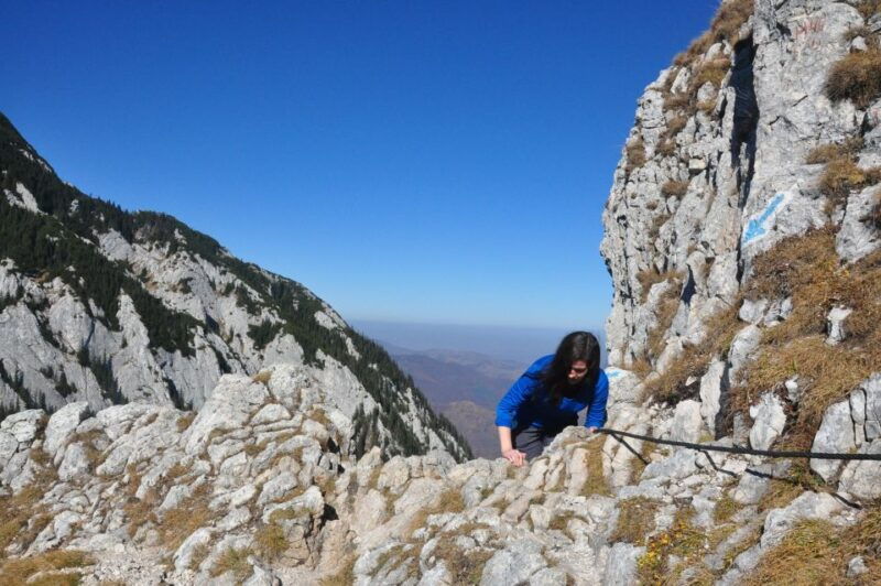 from-brasov-piatra-craiului-national-park-private-day-tour