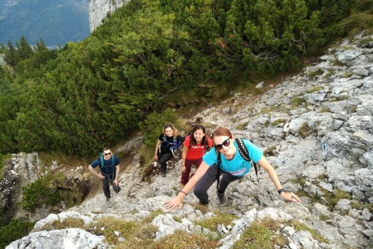 from-brasov-piatra-craiului-national-park-private-day-tour