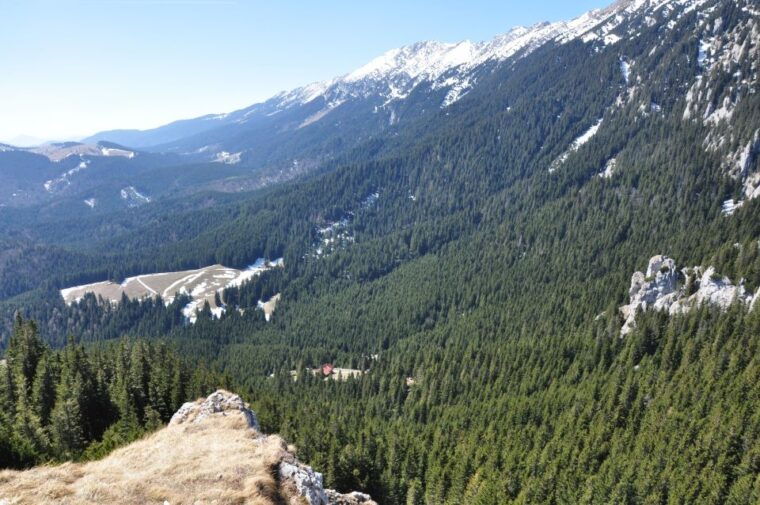 from-brasov-piatra-craiului-national-park-private-day-tour