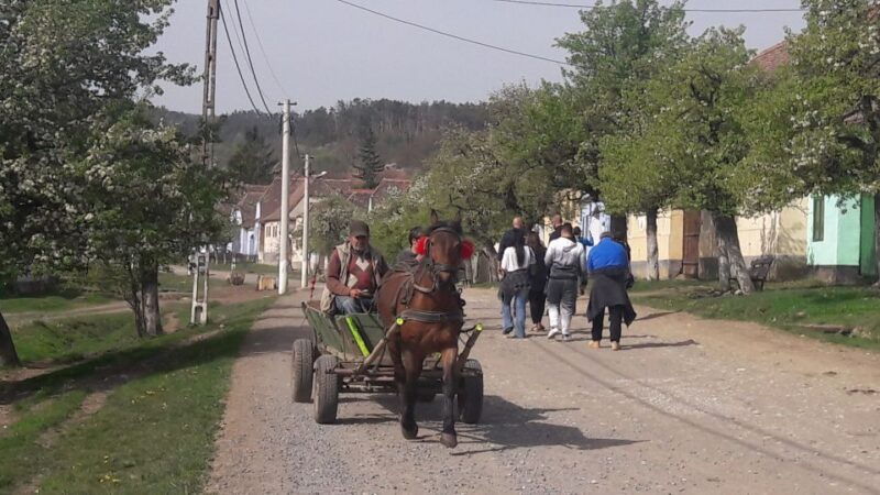 from-brasov-sighisoara-viscri-and-rupea-unesco-day-trip