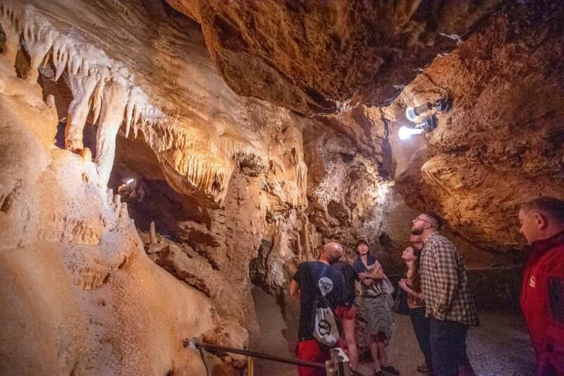 From Bratislava: Castles, Nature & Culture Guided Day Tour - Authentic Reviews & Insights
