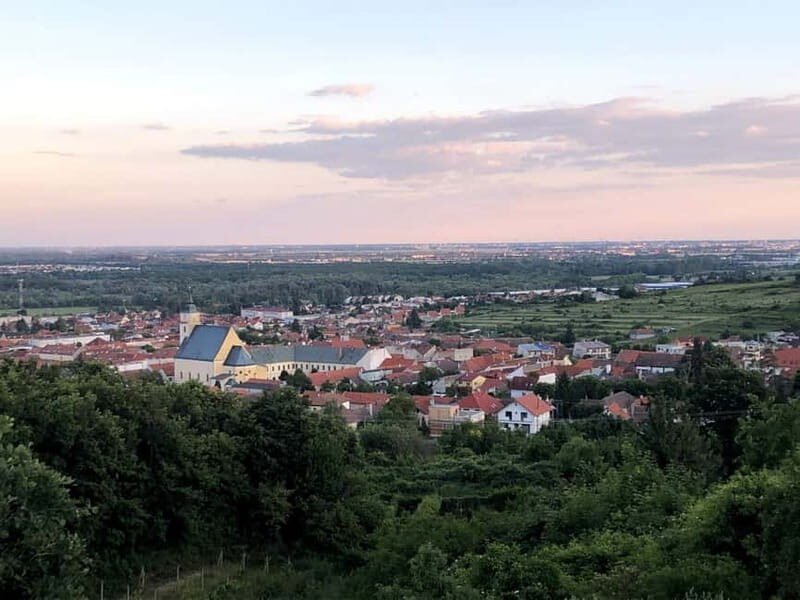 From Bratislava: Organic Wine Tasting in Svaty Jur - Key Points
