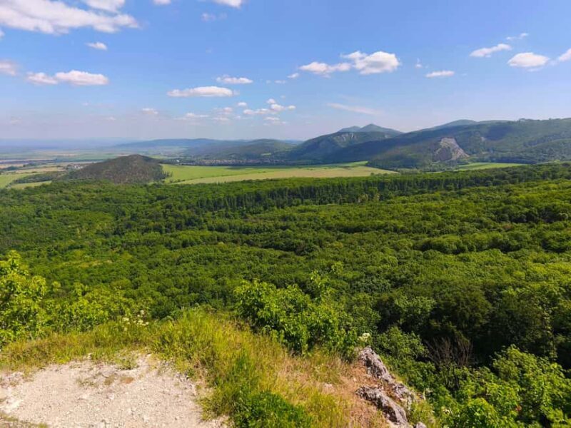 From Bratislava: Wine Tasting & Castles Guided Day Trip - Key Points