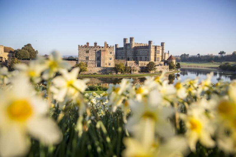 from-brighton-leeds-castle-canterbury-full-day-trip
