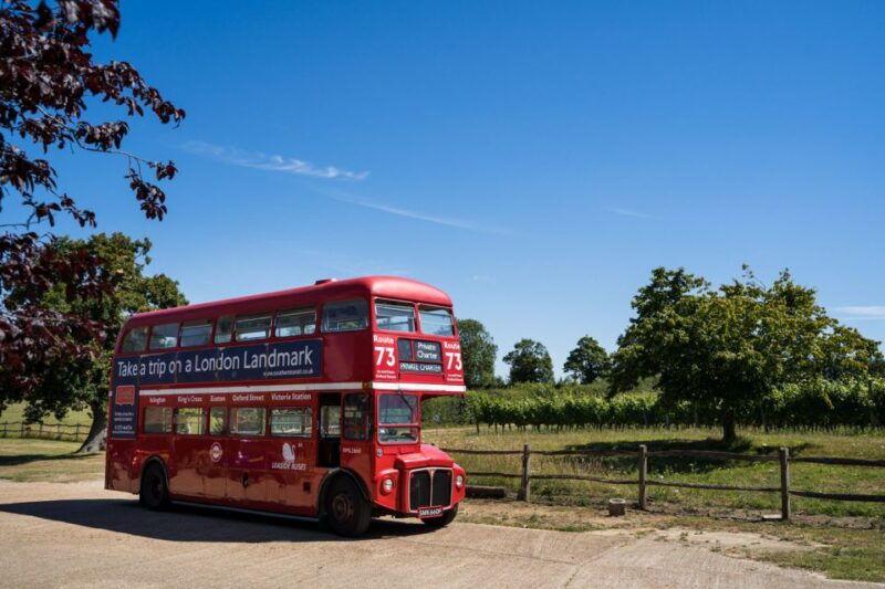 from-brighton-sussex-wine-tour-on-a-vintage-bus-with-lunch