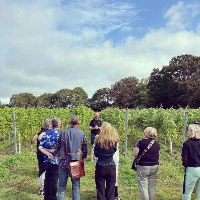 from-brighton-sussex-wine-tour-on-a-vintage-bus-with-lunch