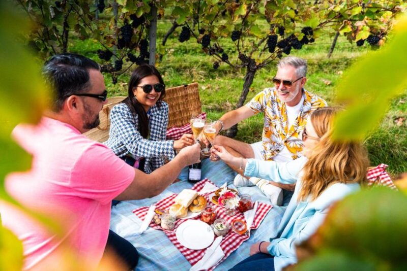 from-brighton-sussex-wine-tour-on-a-vintage-bus-with-lunch