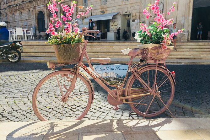 from-brindisi-ostuni-alberobello-and-polignano-a-mare-tour
