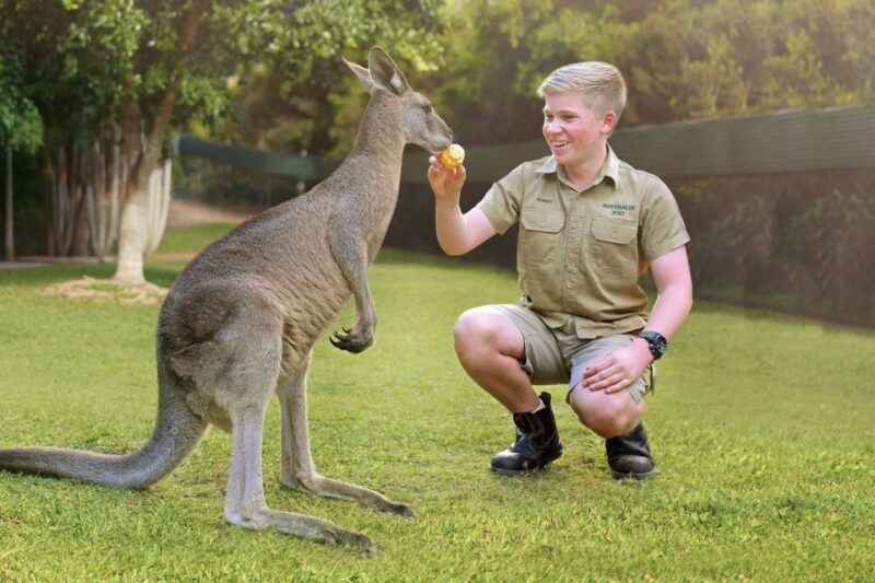 From Brisbane: Australia Zoo Ticket and Roundtrip Transfer - Exploring the Australia Zoo from Brisbane: An Honest Review