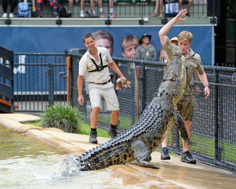 From Brisbane: Australia Zoo Ticket and Roundtrip Transfer - Authentic Insights from Travelers