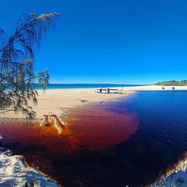 From Brisbane: Bribie Island Day Trip - What Reviewers Say