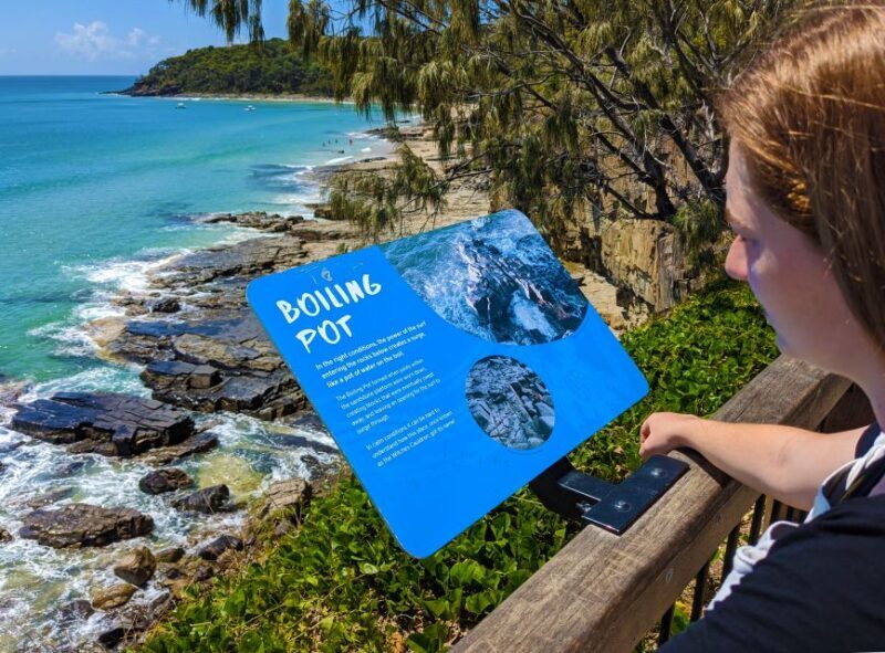 From Brisbane: Day Trip to Noosa, Glass House Mtns and Zoo - Key Points