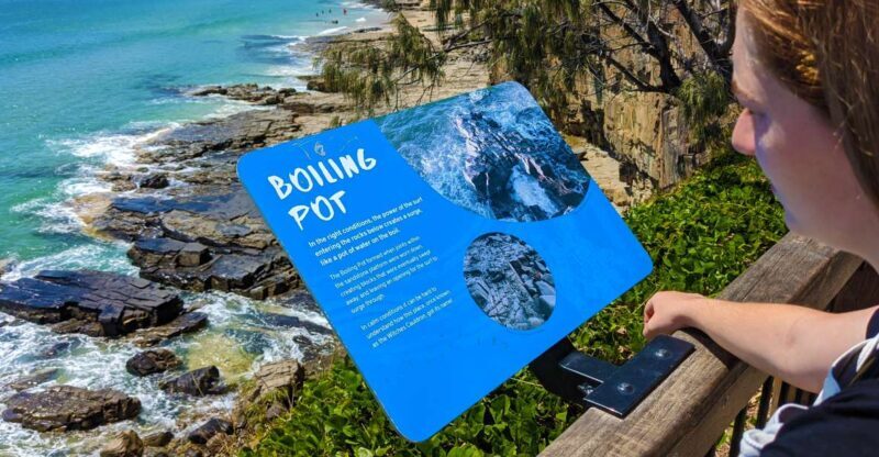 From Brisbane: Day Trip to Noosa, Glass House Mtns and Zoo - An In-Depth Look at the Tour Experience