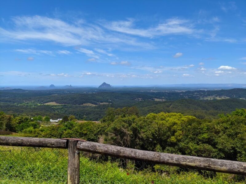 From Brisbane: Day Trip to Noosa, Glass House Mtns and Zoo - Who Would Love This Tour?