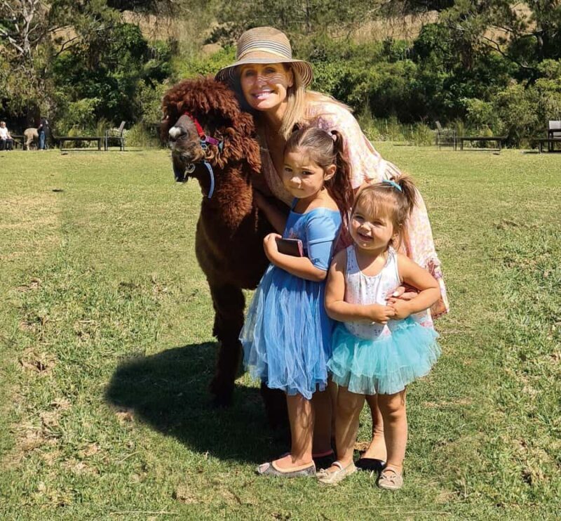 From Brisbane: Lamington National Park Rainforest Tour - In-Depth Review: What to Expect and Why It Matters