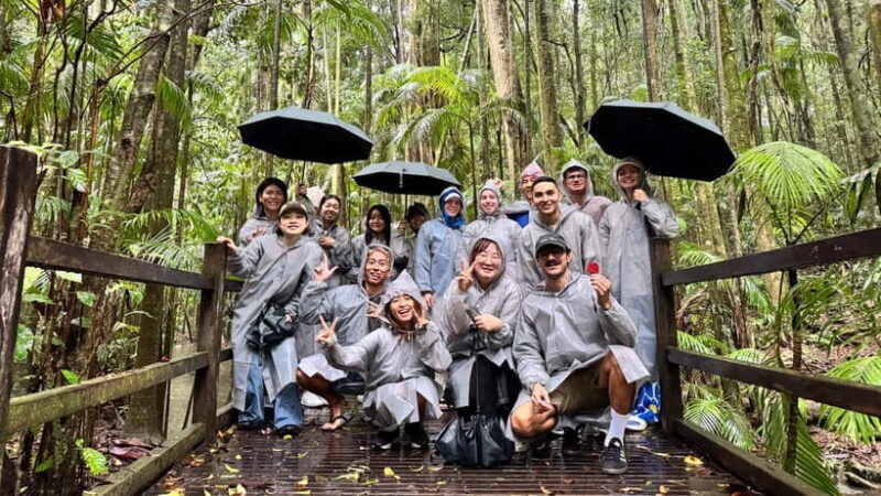 From Brisbane: Noosa, Eumundi and Montville Full Day Tour - Final Thoughts: Who Will Love This Tour?