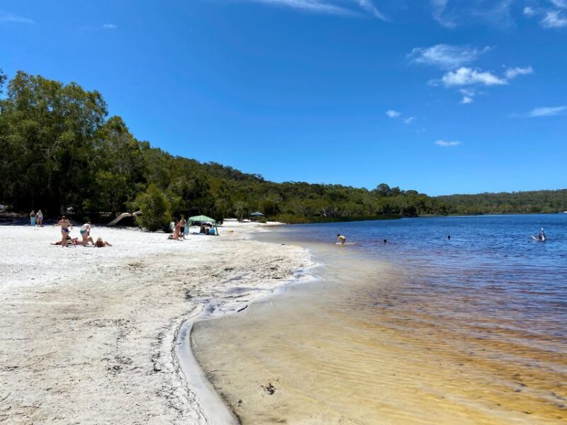 From Brisbane: North Stradbroke Island Wildlife Adventure - Key Points
