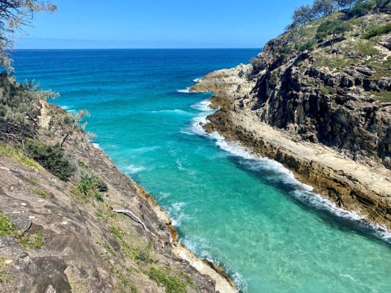 From Brisbane: North Stradbroke Island Wildlife Adventure - Coastal Views and Cylinder Beach