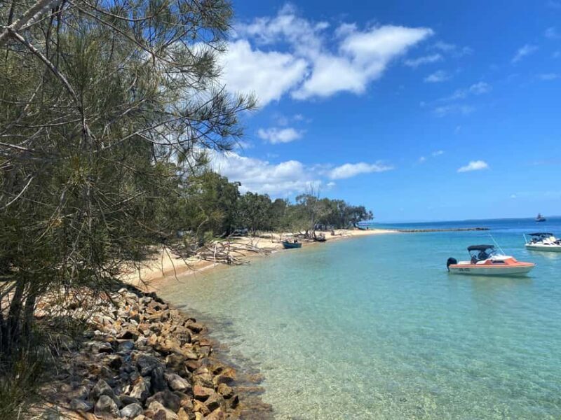 From Brisbane: North Stradbroke Island Wildlife Adventure - The Gorge Walk: A Must-Do Coastal Trek