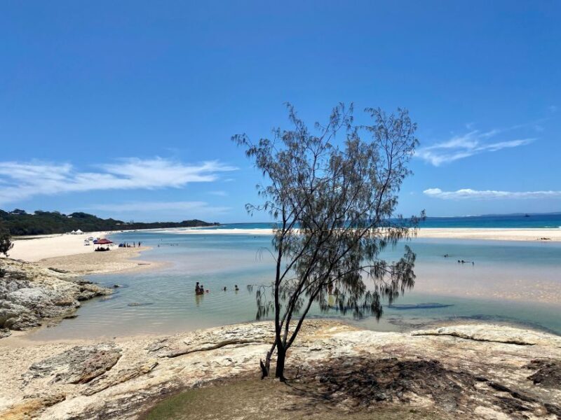 From Brisbane: North Stradbroke Island Wildlife Adventure - Wildlife Spotting at Amity Point