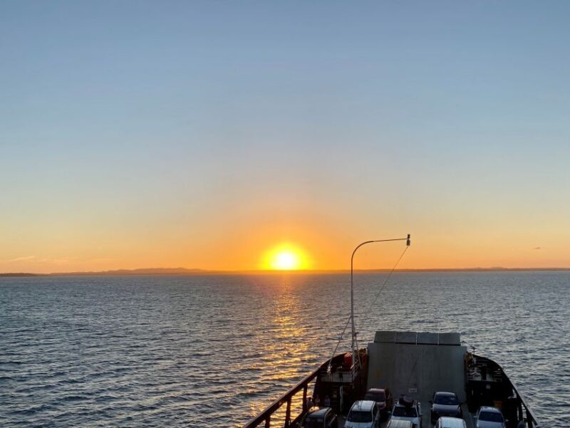From Brisbane: North Stradbroke Island Wildlife Adventure - Return Ferry and End of Day