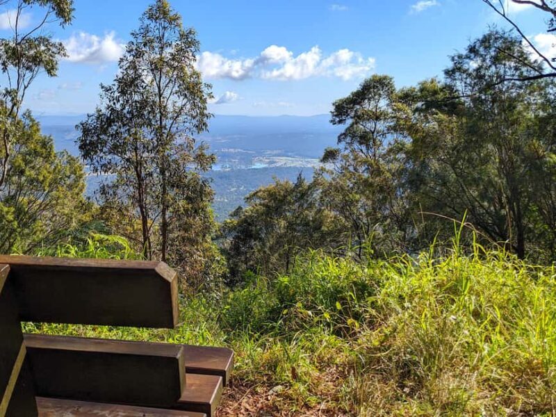 From Brisbane: Tamborine Mountain and Paradise Point Tour - Optional Glow Worm Caves: A Magical Add-On