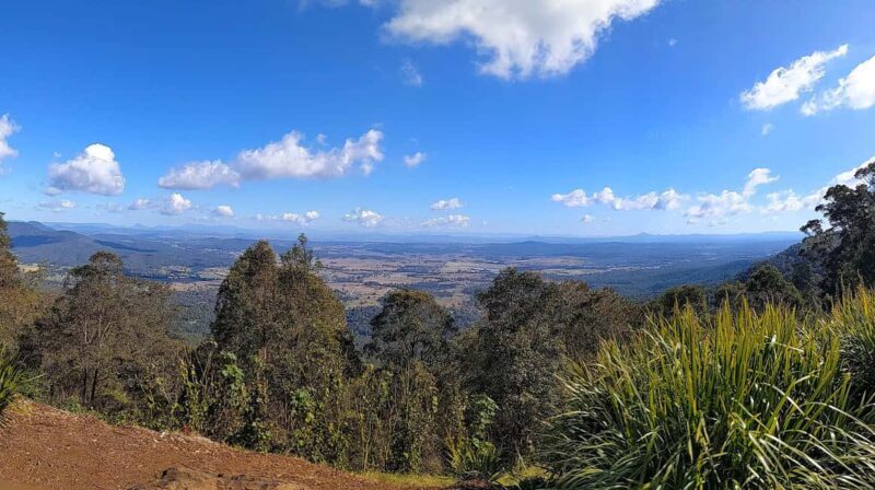 From Brisbane: Tamborine Mountain and Paradise Point Tour - End the Day at Paradise Point