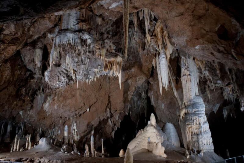 From Brno: Macocha Abyss and Punkva Caves Easy & Guided Tour - Practical Details & Logistics