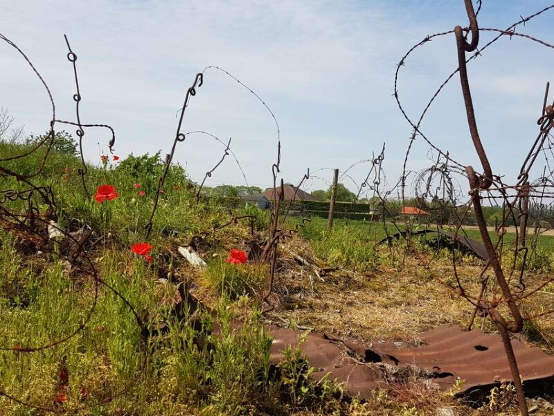 from-bruges-great-war-flanders-fields-minibus-tour-w-lunch
