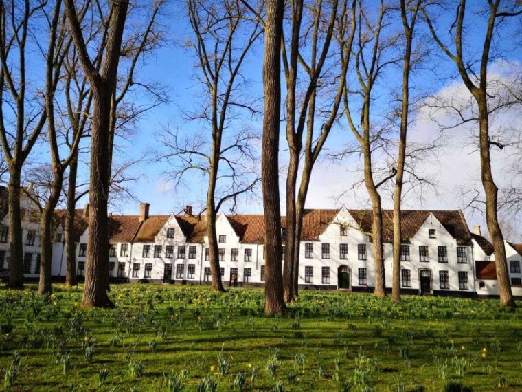 from-brussels-bruges-day-trip-with-boat-tour-option-es