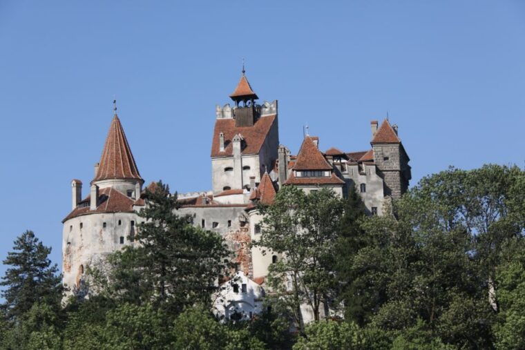 from-bucharest-bear-sanctuary-and-dracula-castle-day-tour