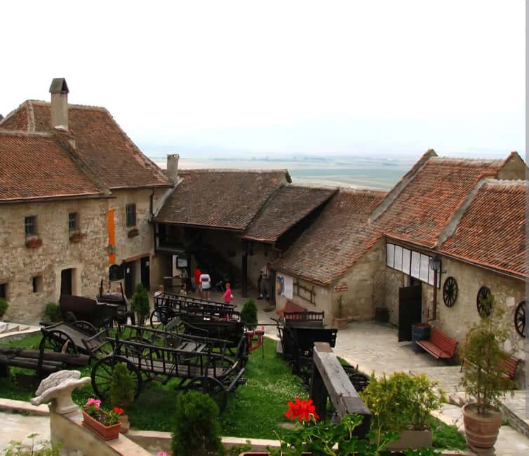 From Bucharest: Bears Sanctuary&Rasnov Fortress Private tour - A Comprehensive Look at the Experience  