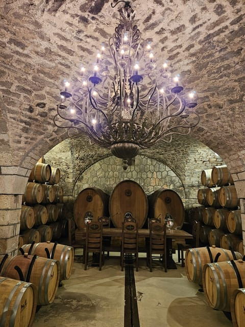 from-bucharest-boutique-wine-tasting-private-day-trip