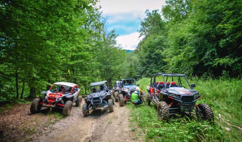 From Bucharest: BUGGY Quad Tour in the Carpathian Mountains - Key Points