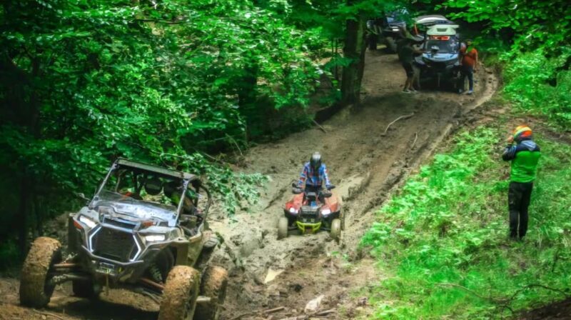 From Bucharest: BUGGY Quad Tour in the Carpathian Mountains - Value and Pricing Analysis