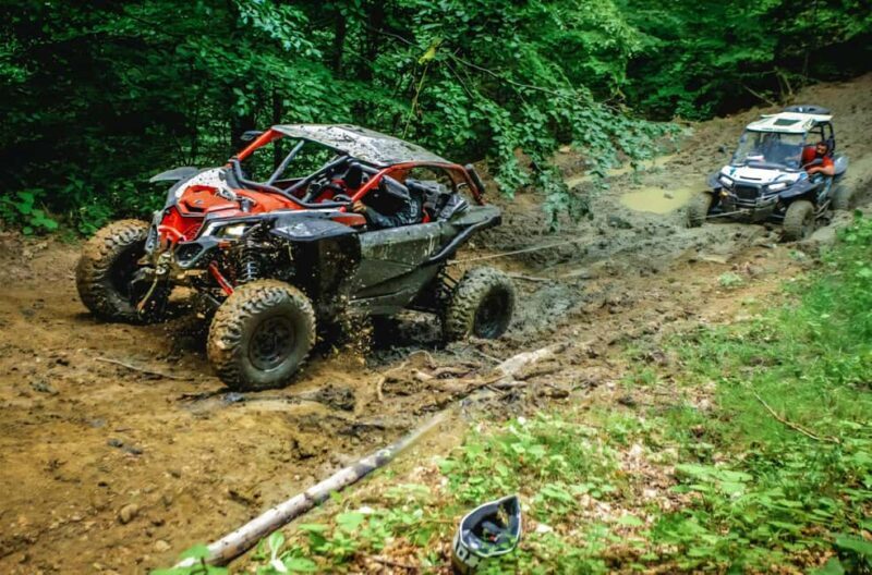 From Bucharest: BUGGY Quad Tour in the Carpathian Mountains - Practical Tips for Your Trip