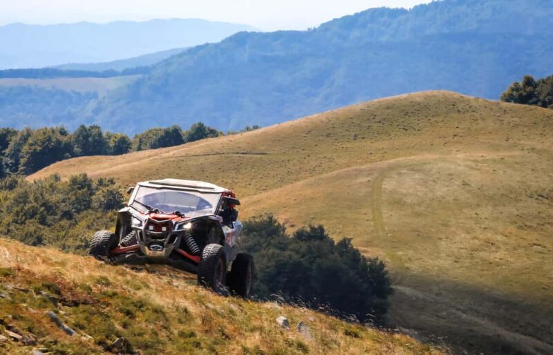 From Bucharest: BUGGY Quad Tour in the Carpathian Mountains - The Sum Up