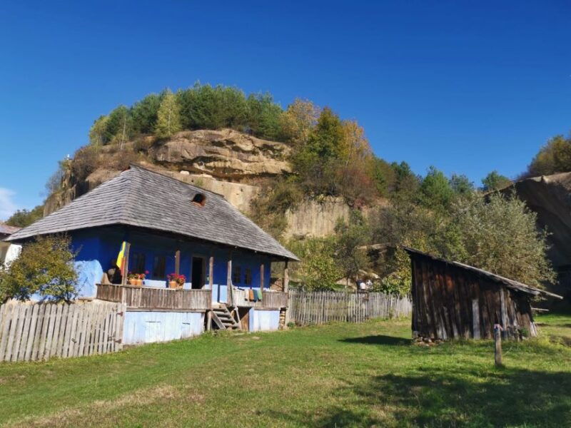 from-bucharest-carpathian-villages-and-sinaia-day-trip