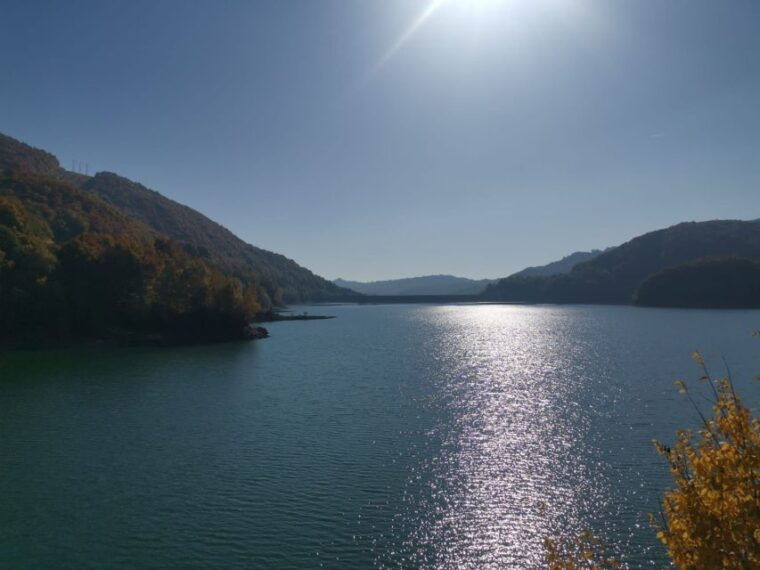 from-bucharest-carpathian-villages-and-sinaia-day-trip