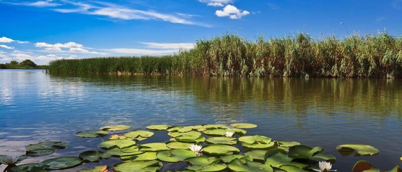 from-bucharest-danube-delta-day-tour-amazing-experience