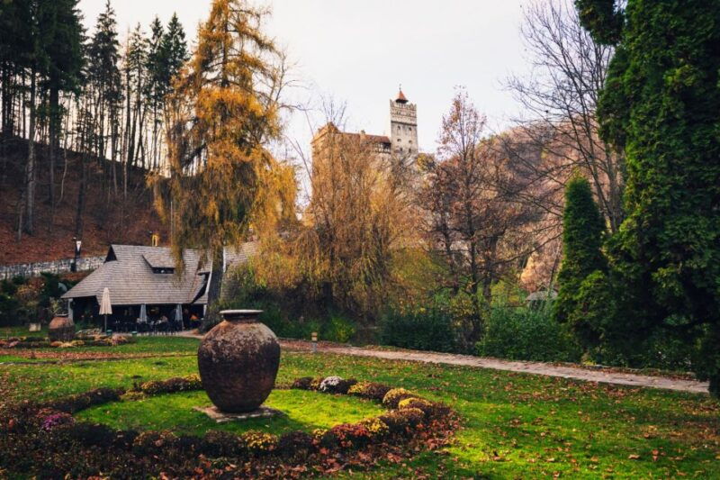 from-bucharest-draculas-castle-bear-sanctuary-adventure