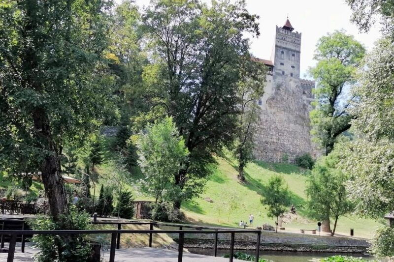 from-bucharest-draculas-castle-bear-sanctuary-adventure