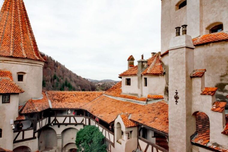 from-bucharest-draculas-castle-bear-sanctuary-adventure