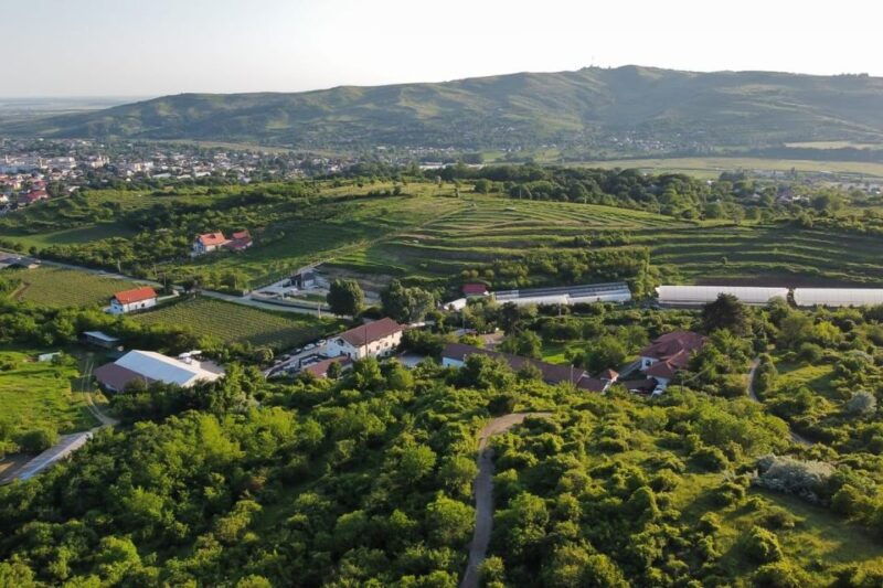 from-bucharest-exclusive-dealu-mare-wine-tasting-tour