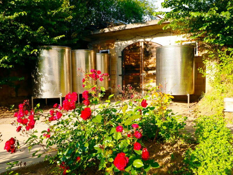 from-bucharest-exclusive-dealu-mare-wine-tasting-tour