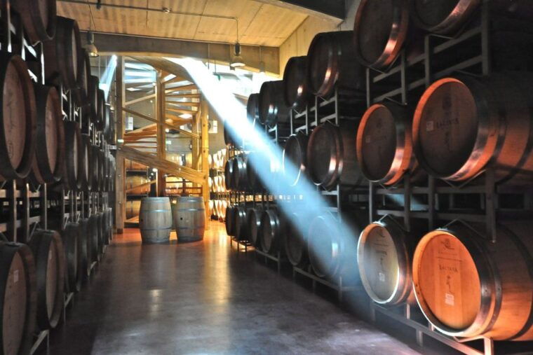 from-bucharest-exclusive-dealu-mare-wine-tasting-tour