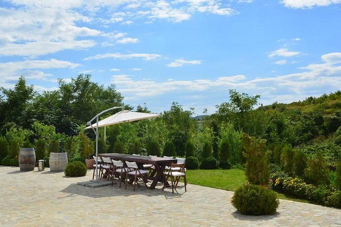 from-bucharest-exclusive-wine-tasting-tour-in-dealu-mare