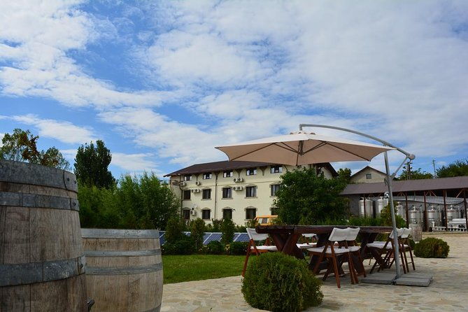 from-bucharest-exclusive-wine-tasting-tour-in-dealu-mare