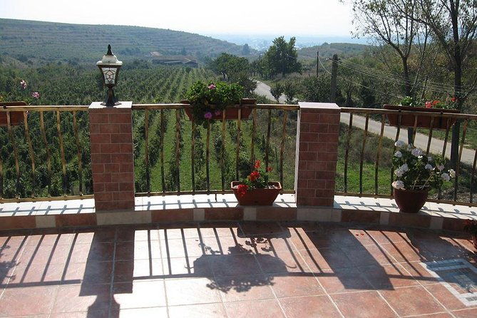 from-bucharest-exclusive-wine-tasting-tour-in-dealu-mare